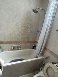 Tanglin Regency (D10), Condominium #471417941